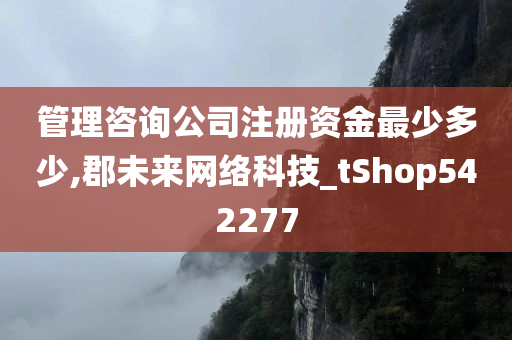 管理咨询公司注册资金最少多少,郡未来网络科技_tShop542277