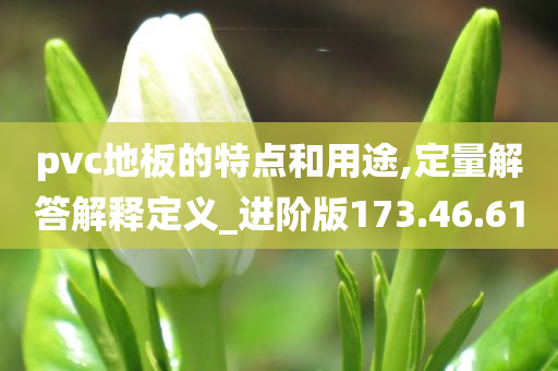 pvc地板的特点和用途,定量解答解释定义_进阶版173.46.61