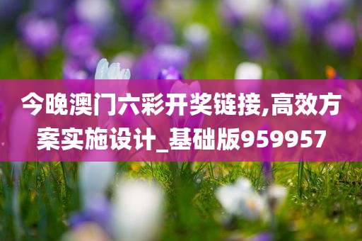 今晚澳门六彩开奖链接,高效方案实施设计_基础版959957