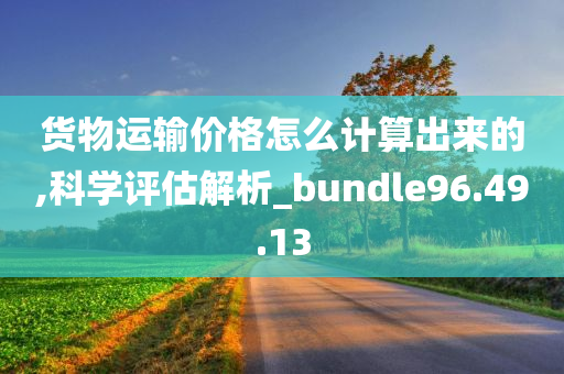 货物运输价格怎么计算出来的,科学评估解析_bundle96.49.13