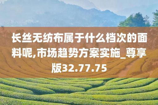 长丝无纺布属于什么档次的面料呢,市场趋势方案实施_尊享版32.77.75