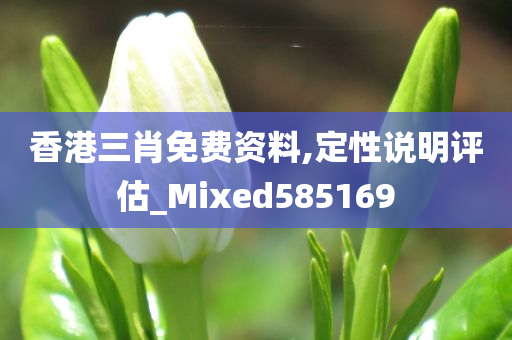 香港三肖免费资料,定性说明评估_Mixed585169