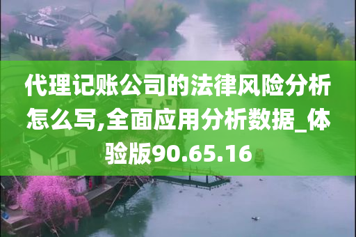 代理记账公司的法律风险分析怎么写,全面应用分析数据_体验版90.65.16