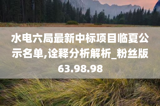 水电六局最新中标项目临夏公示名单,诠释分析解析_粉丝版63.98.98