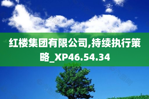 红楼集团有限公司,持续执行策略_XP46.54.34