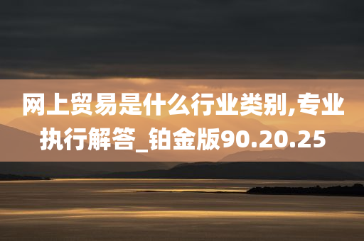 网上贸易是什么行业类别,专业执行解答_铂金版90.20.25