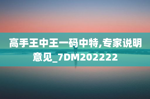 高手王中王一码中特,专家说明意见_7DM202222