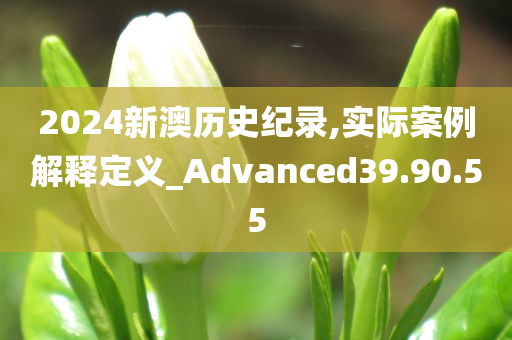 2024新澳历史纪录,实际案例解释定义_Advanced39.90.55