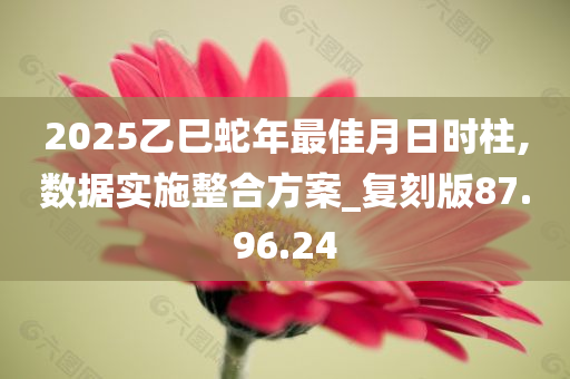 2025乙巳蛇年最佳月日时柱,数据实施整合方案_复刻版87.96.24