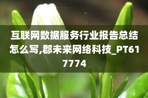 互联网数据服务行业报告总结怎么写,郡未来网络科技_PT617774