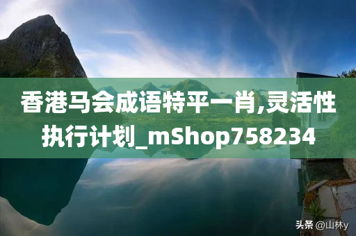 香港马会成语特平一肖,灵活性执行计划_mShop758234