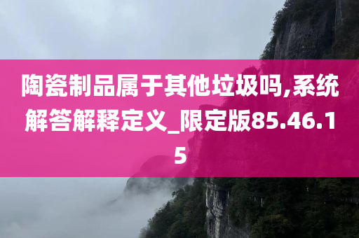 陶瓷制品属于其他垃圾吗,系统解答解释定义_限定版85.46.15