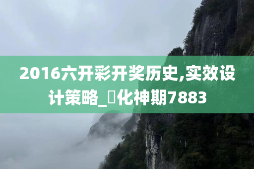 2016六开彩开奖历史,实效设计策略_‌化神期7883