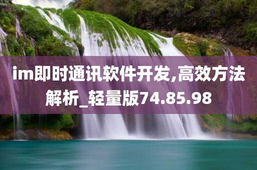 im即时通讯软件开发,高效方法解析_轻量版74.85.98