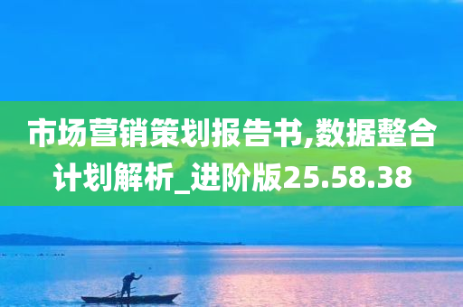 市场营销策划报告书,数据整合计划解析_进阶版25.58.38