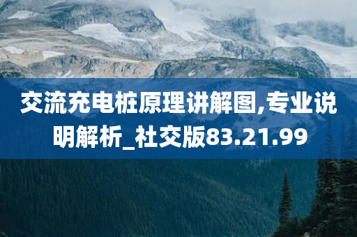 交流充电桩原理讲解图,专业说明解析_社交版83.21.99