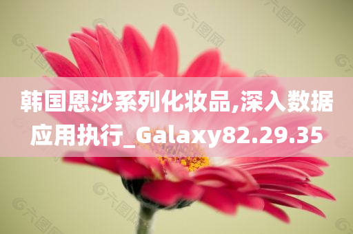 韩国恩沙系列化妆品,深入数据应用执行_Galaxy82.29.35