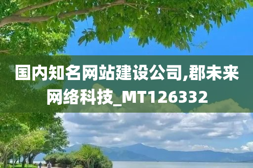 国内知名网站建设公司,郡未来网络科技_MT126332