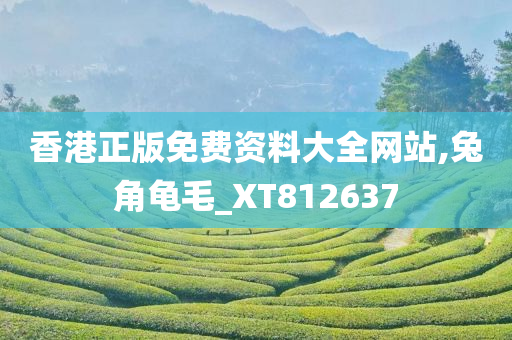 香港正版免费资料大全网站,兔角龟毛_XT812637