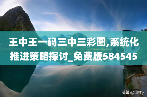 王中王一码三中三彩图,系统化推进策略探讨_免费版584545