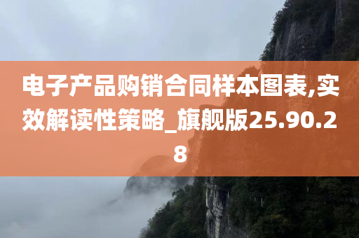 电子产品购销合同样本图表,实效解读性策略_旗舰版25.90.28