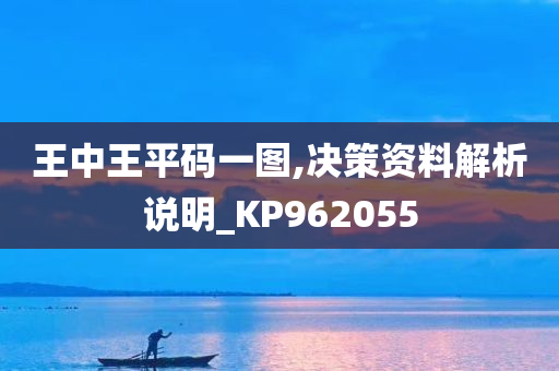 王中王平码一图,决策资料解析说明_KP962055