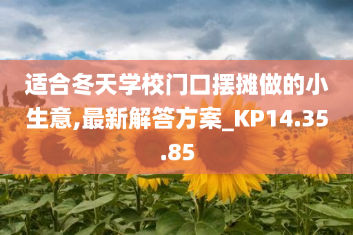 适合冬天学校门口摆摊做的小生意,最新解答方案_KP14.35.85