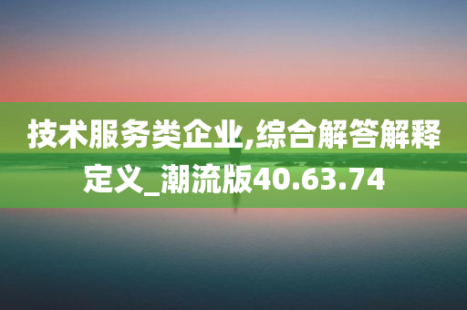 技术服务类企业,综合解答解释定义_潮流版40.63.74