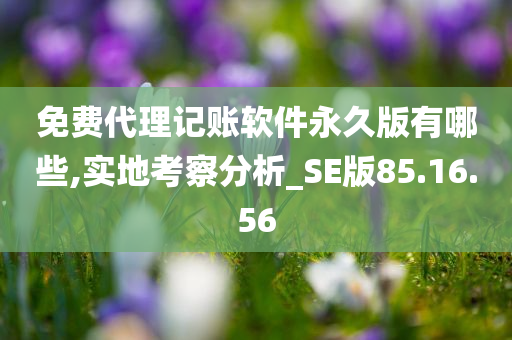 免费代理记账软件永久版有哪些,实地考察分析_SE版85.16.56