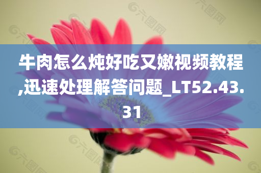 牛肉怎么炖好吃又嫩视频教程,迅速处理解答问题_LT52.43.31