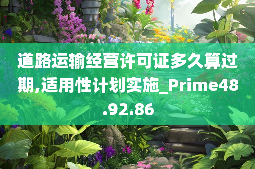 道路运输经营许可证多久算过期,适用性计划实施_Prime48.92.86