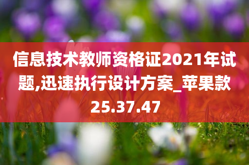 信息技术教师资格证2021年试题,迅速执行设计方案_苹果款25.37.47