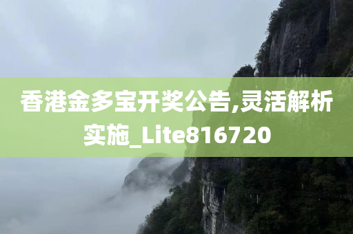 香港金多宝开奖公告,灵活解析实施_Lite816720