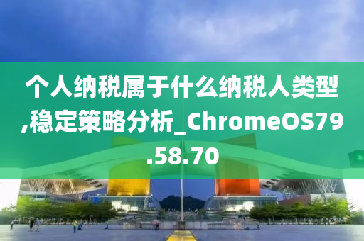 个人纳税属于什么纳税人类型,稳定策略分析_ChromeOS79.58.70