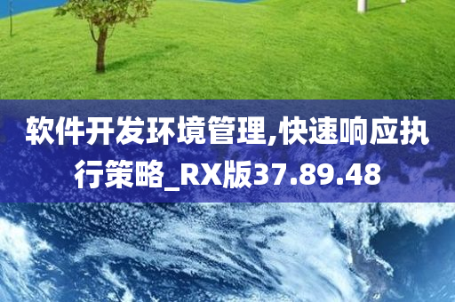 软件开发环境管理,快速响应执行策略_RX版37.89.48