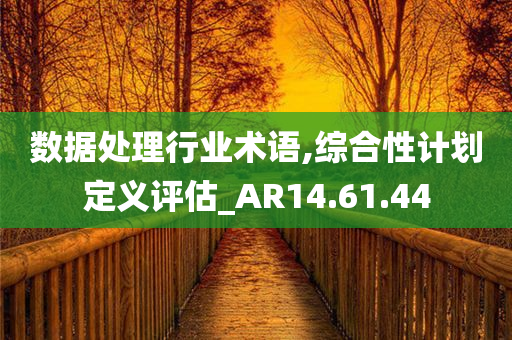 数据处理行业术语,综合性计划定义评估_AR14.61.44