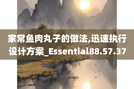 家常鱼肉丸子的做法,迅速执行设计方案_Essential88.57.37