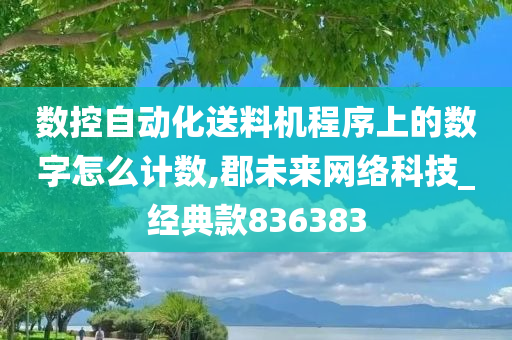 数控自动化送料机程序上的数字怎么计数,郡未来网络科技_经典款836383