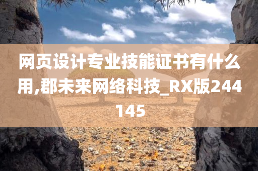 网页设计专业技能证书有什么用,郡未来网络科技_RX版244145