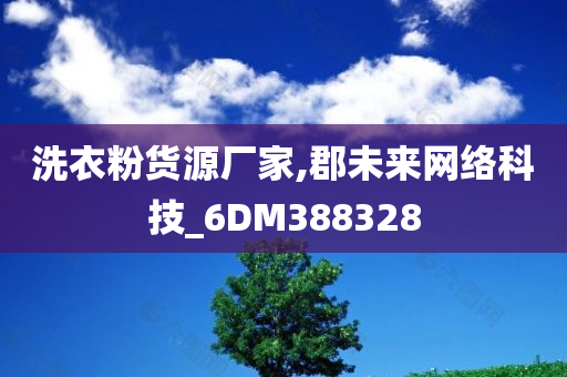 洗衣粉货源厂家,郡未来网络科技_6DM388328