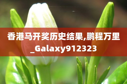 香港马开奖历史结果,鹏程万里_Galaxy912323