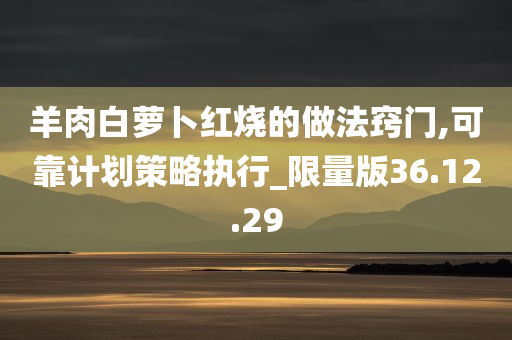 羊肉白萝卜红烧的做法窍门,可靠计划策略执行_限量版36.12.29