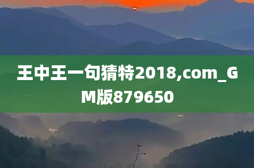 王中王一句猜特2018,com_GM版879650