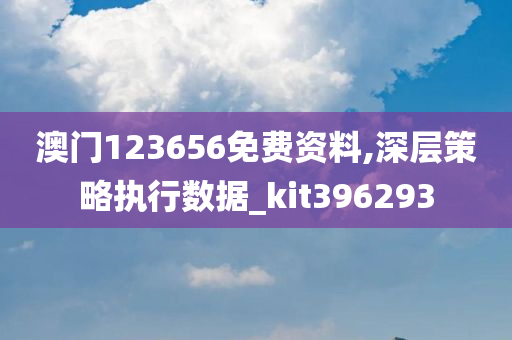 澳门123656免费资料,深层策略执行数据_kit396293