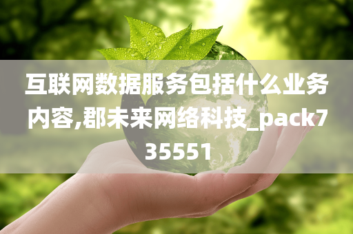 互联网数据服务包括什么业务内容,郡未来网络科技_pack735551