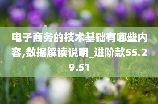 电子商务的技术基础有哪些内容,数据解读说明_进阶款55.29.51