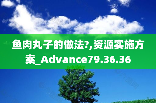 鱼肉丸子的做法?,资源实施方案_Advance79.36.36