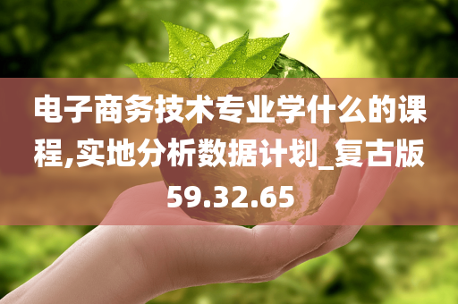 电子商务技术专业学什么的课程,实地分析数据计划_复古版59.32.65