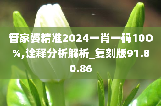 管家婆精准2024一肖一码10O%,诠释分析解析_复刻版91.80.86