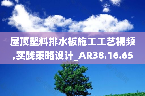 屋顶塑料排水板施工工艺视频,实践策略设计_AR38.16.65